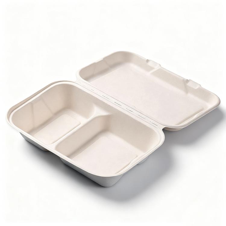 Disposable Takeout Lunch Box Containers — 251x166x63mm