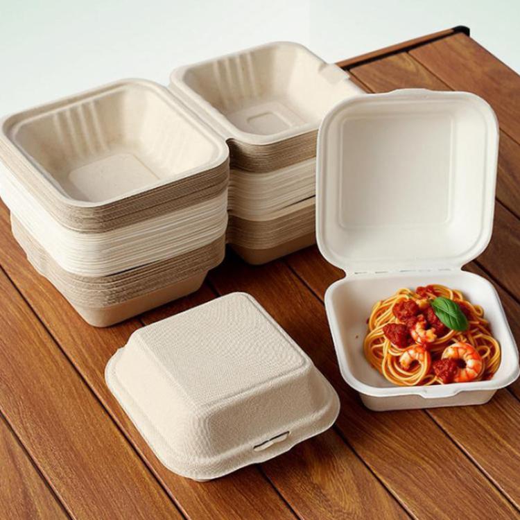 Disposable Takeout Lunch Box Containers
