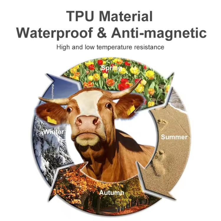 RFID Smart Chip UHF Animals Electronic Ear Labels for Pigs, Cattle, Sheep