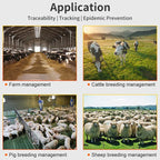 RFID Smart Chip UHF Animals Electronic Ear Labels for Pigs, Cattle, Sheep