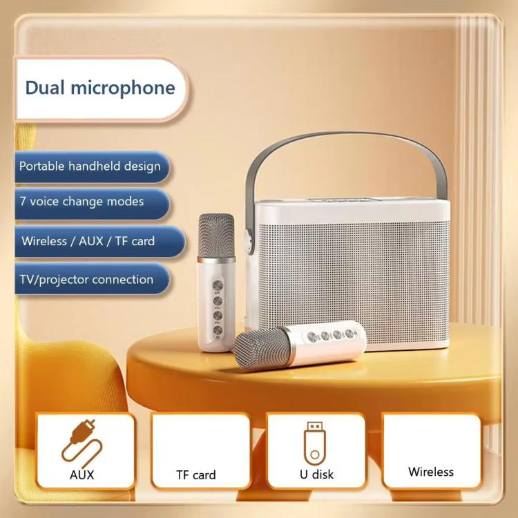 YS-219 Mini Portable Karaoke Wireless Bluetooth Speaker with 2 Microphones — Gold