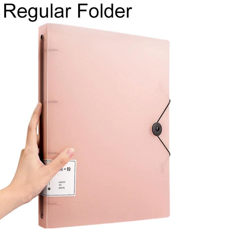 A4 Four-hole Document Storage Folder — Transparent Pink