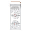 SL617 Dual-Head Humidifier Spray Cooling Fan