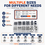 175PCS Lock Nuts and Hexagonal Nut Plug Set