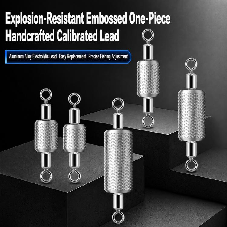 5pcs Dual Loop Embossed Scale Integrated Fishing Lead Sinker