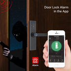 WDL-X1 Graffiti Smart Home Anti-theft Fingerprint Door Lock