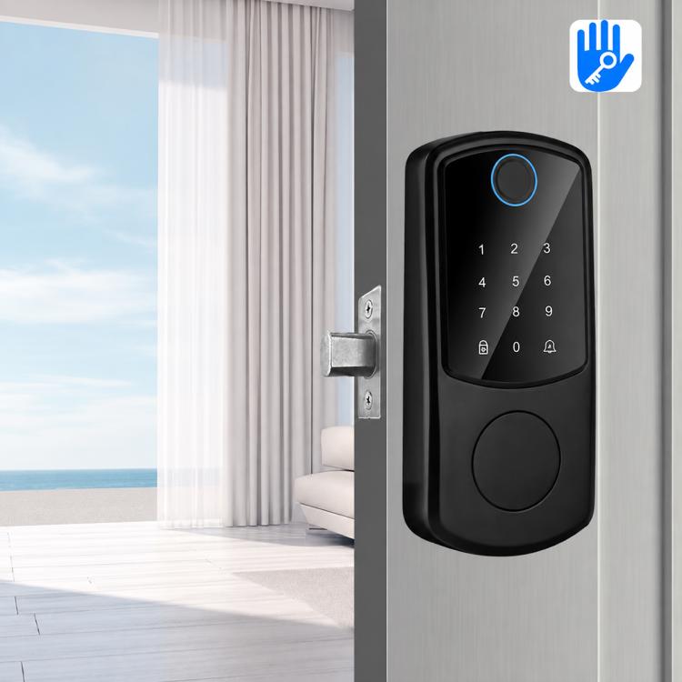 D10 Smart Lock Fingerprint Lock
