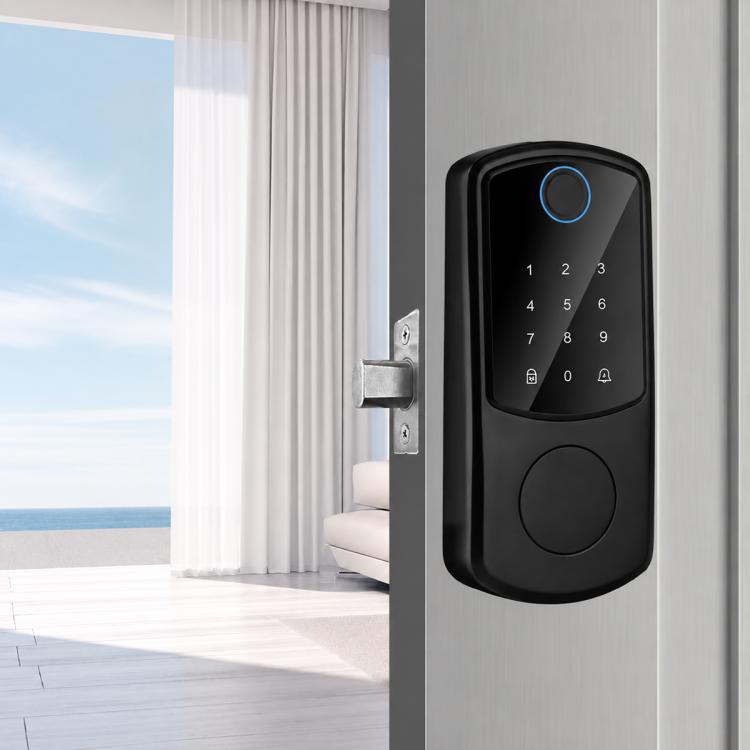 D10 Smart Lock Fingerprint Lock — Cat Eye Model