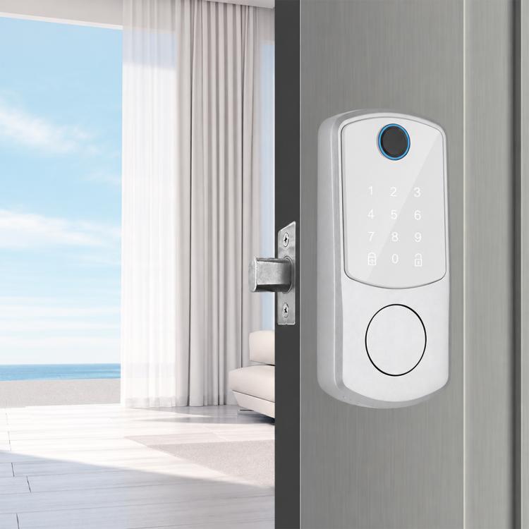 D10 Smart Lock Fingerprint Lock — Graffiti Model