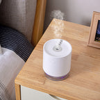 Humidifier with LED Indicator, USB Smart Induction Ultrasonic Spray