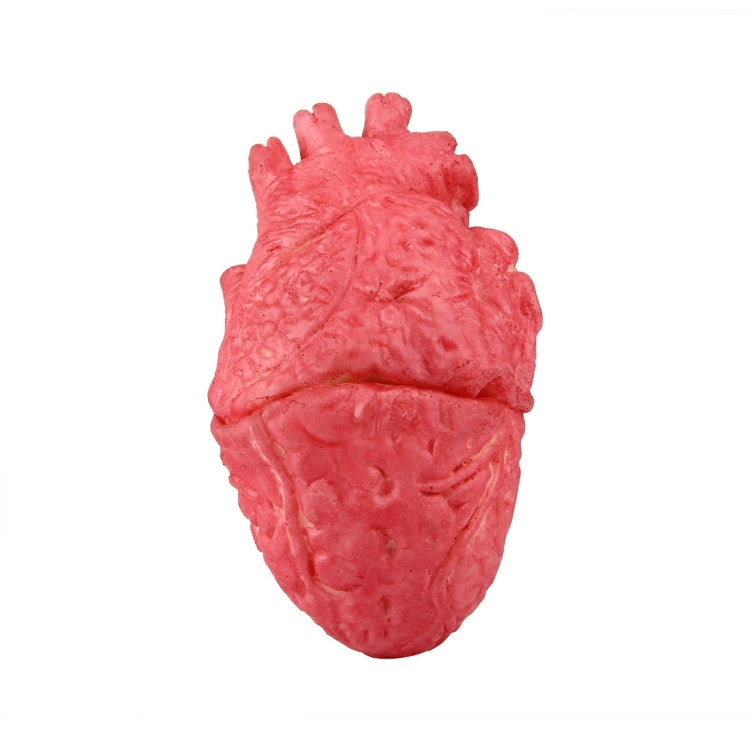 Popular Funny Halloween Props Fake Heart