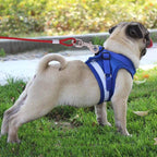 Double-end Steel Wire Rope Pet Dogs 2 in 1 Traction Rope Pet Walking Leads With Handle, Random Color Delivery, Length: 10m