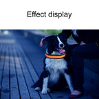 Medium and Large Dog Pet Solar + USB Charging LED Light Collar, Neck Circumference Size: L, 50-60cm