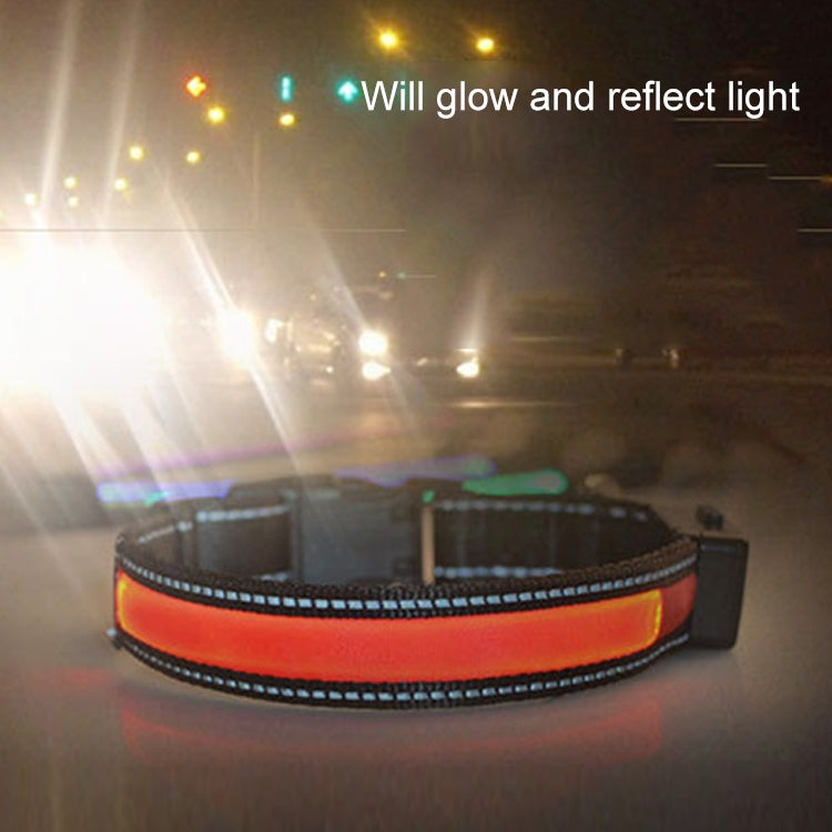 Medium and Large Dog Pet Solar + USB Charging LED Light Collar, Neck Circumference Size: L, 50-60cm