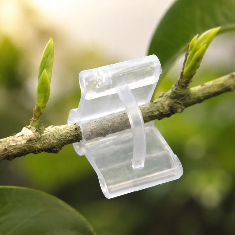 Plant Grafting Gardening Plastic Grafting Folder Grafting Clip Transparent Gardening Plastic Grafting Clip Tomatoes Grafting Clips
