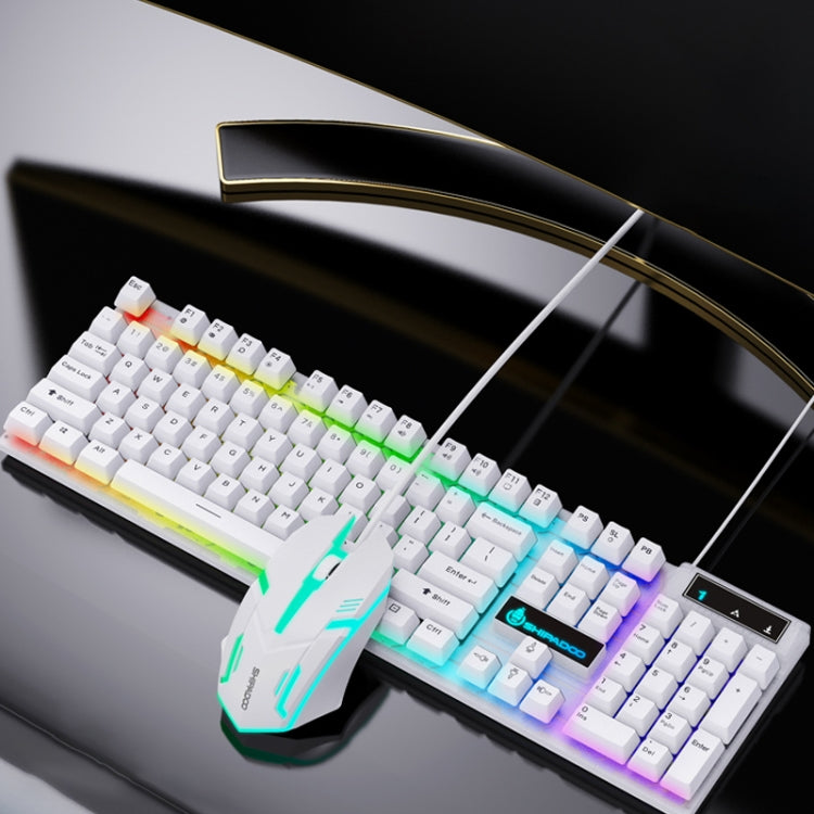D500 RGB Brilliant Backlight Mouse and Keyboard Set — Black White
