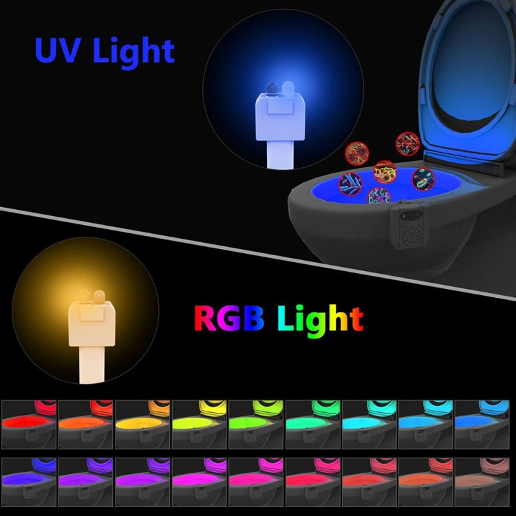 Home Toilet Bathroom Seat Night Light, DC 5V