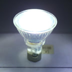 MR16 5W LED Spotlight, AC / DC 12V