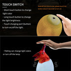 Pterosaur Shape Creative Touch 3D Decorative Night Light, 3-color Patting Version — view 7
