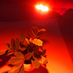 3W 6 LEDs SMD 5730 LED Module Lamp Ceiling Lighting Source, DC 9V Red Light — view 4