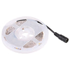 Bare Board 2835 SMD Dimmable White Light / Warm Light LED Rope Light, 60 LED/m, Length: 5m, 12V 2A 100-240V, 2835 SMD LED, 5m