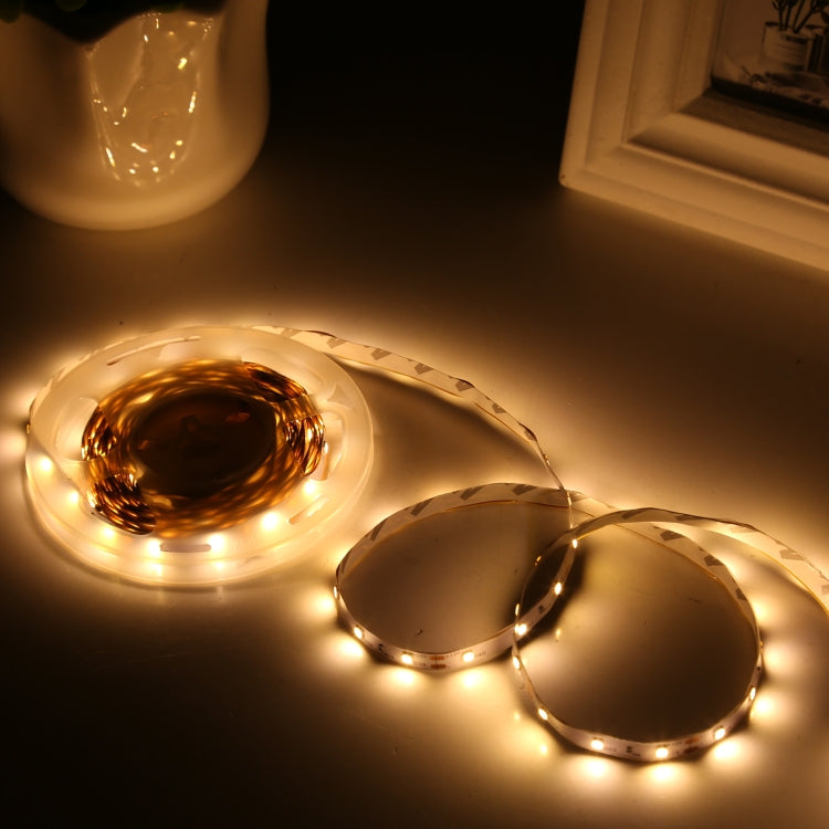 Bare Board 2835 SMD Dimmable White Light / Warm Light LED Rope Light, 60 LED/m, Length: 5m, 12V 2A 100-240V, 2835 SMD LED, 5m