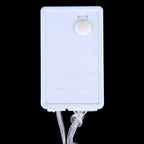 300 LEDs Curtain String Light with End Joint & Multi-function Controller & Memory Waterproof, EU Plug, AC 220V — White Light EU Plug