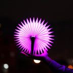 Creative Portable USB Charging Semicircle Night Light with Remote Control