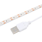 USB 2835 SMD LED UV Purple Light Waterproof Epoxy Rope Light, DC 5V, Length: 2m