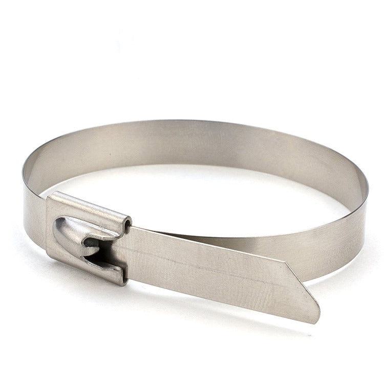 100 PCS 4.6x550mm Stainless Steel Metal Cable Ties Tie Zip Wrap Exhaust Heat Straps Induction Pipe