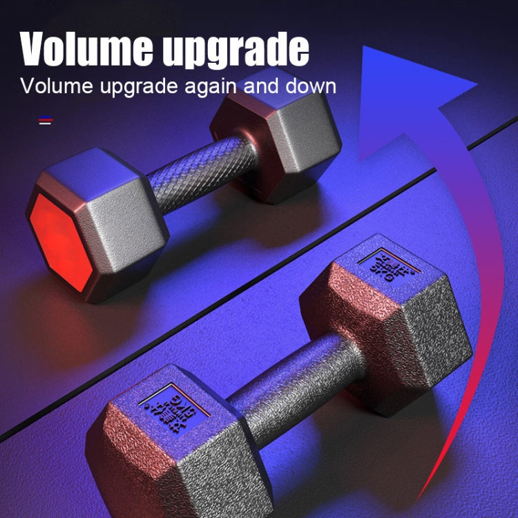 10KG A Pair Household Glue Fitness Hexagon Dumbbells