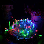 100 LED RGB Light with Controller, Flashing / Fading / Chasing Effect, AC 220V, EU Plug