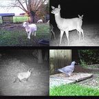HC300M 2.0 inch LCD 12MP Waterproof IP54 IR Night Vision Security Hunting Trail Camera with MMS Function
