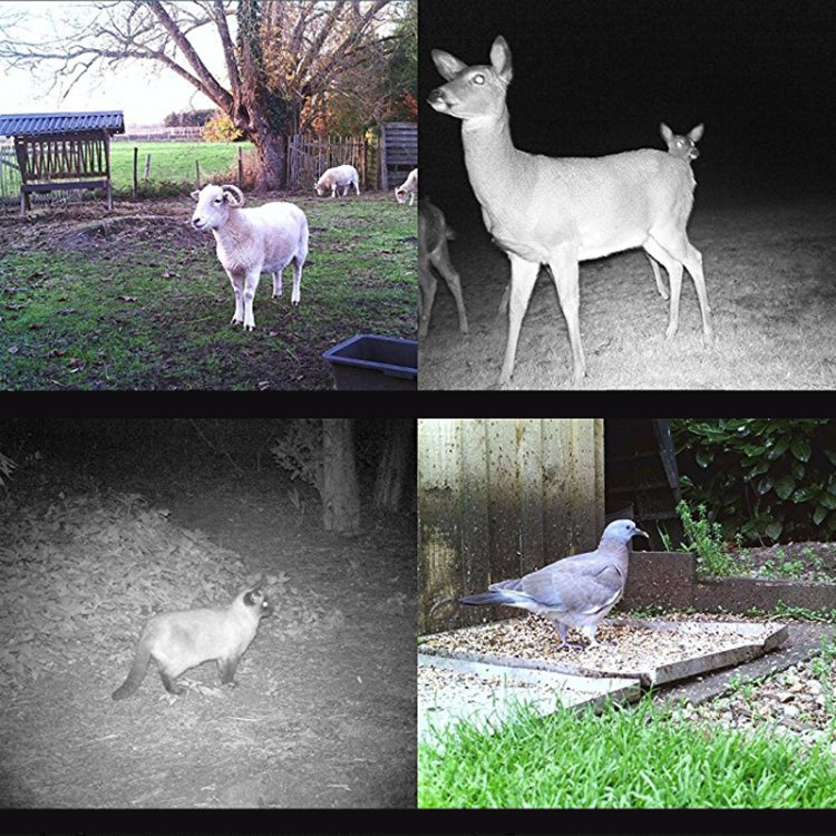 HC300M 2.0 inch LCD 12MP Waterproof IP54 IR Night Vision Security Hunting Trail Camera with MMS Function