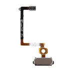 Home Button