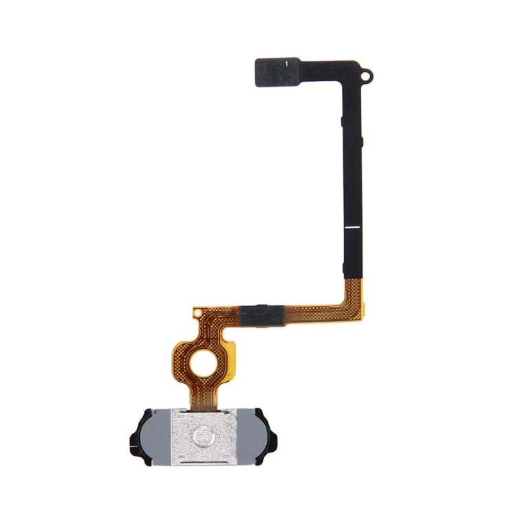 Home Button