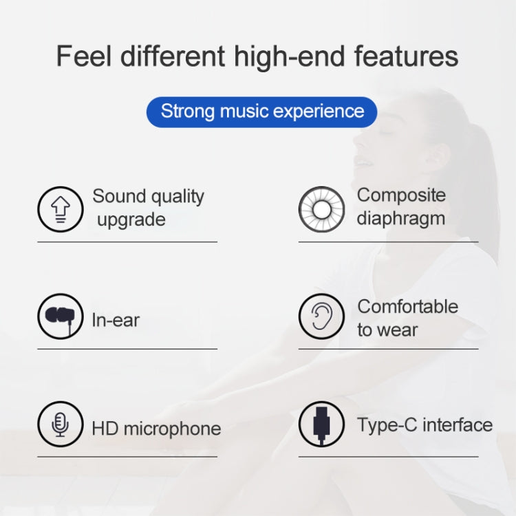 USB-C / Type-C Interface In Ear Wired Mega Bass Earphone with Mic