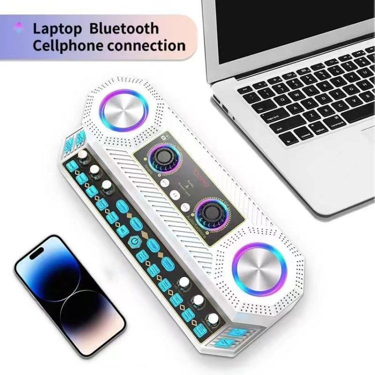 X20 Multifunction Singing Sound Card Audio Machine Square Dance Karaoke Wireless Bluetooth Speaker — X20
