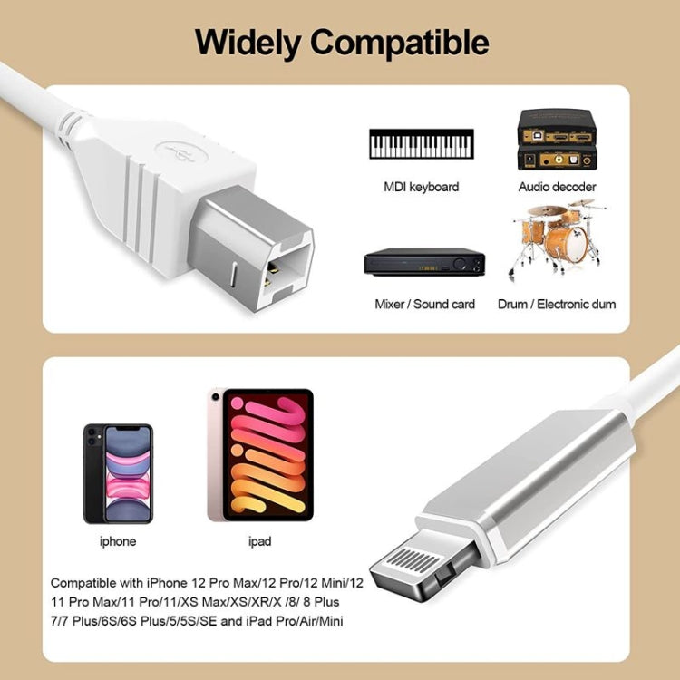 1m 8 Pin to USB-B MIDI Cable for iPad / iPhone — view 4