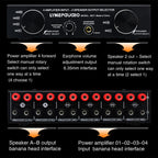 Power Amplifier Speaker Selector Switcher, 4 Input 2 Output or 2 In 4 Out