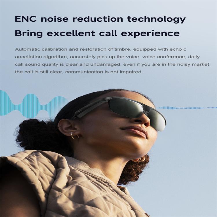 L01 Smart Glasses, Support AI Intelligent Translation / Bluetooth Call / Intelligent Noise Reduction