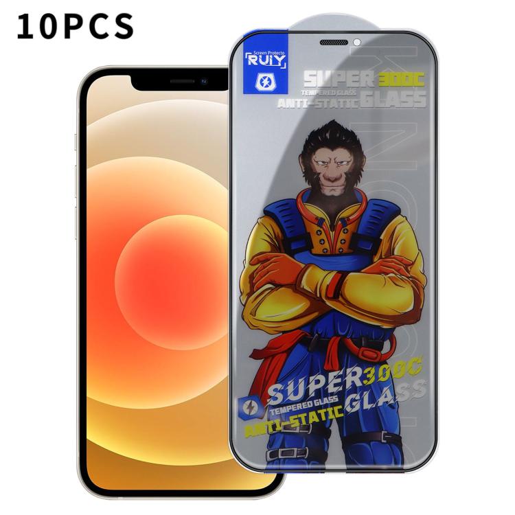 10pcs Armor 300C Ultra-Curved Anti-Static Anti-Dust Silk-Screened Privacy Tempered Glass Film — For iPhone 13