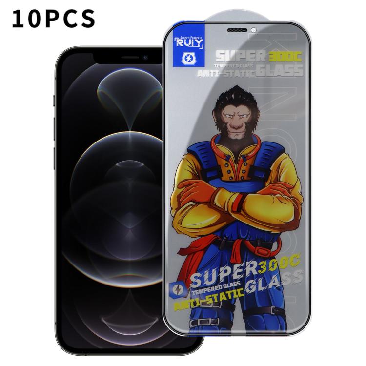 10pcs Armor 300C Ultra-Curved Anti-Static Anti-Dust Silk-Screened Privacy Tempered Glass Film — For iPhone 12 Pro Max