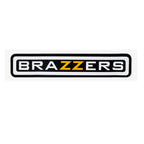 10 PCS BRAZZERS Car Sticker Auto Decals foe Car Styling, Size: 4.9x22.5cm