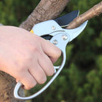 Labor-saving Hand Garden Gardening Shears Beak Manual Branch Pruning Shears