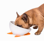 Pet Dog Ceramic Universal Non-slip Food Bowl Feeder