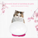 Pet Dog Ceramic Universal Non-slip Food Bowl Feeder — view 7