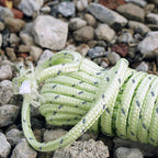 Reflective String Windproof Tent Rope Line Camping Rope Reflective Tent Ropes, 5mm Diameter