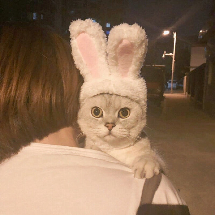 Lovely Rabbit Ear Cat Pet Headgear Headwear — view 3