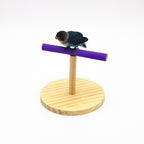 Creative Wooden Parrot Bird Frosted Stand Toy — Small